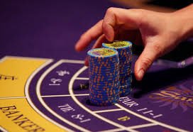 3636bet